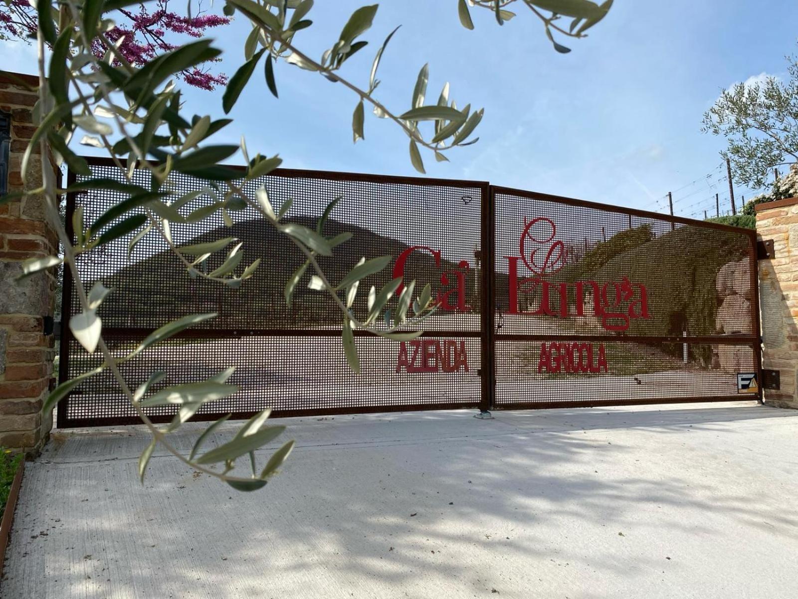 Azienda Agricola Ca' Lunga Cinto Euganeo Exterior photo